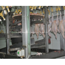 Machine de découpe de pieds de poulet